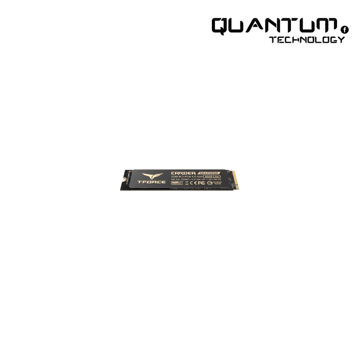 A440 Lite M.2 PCIe SSD 2TB 7400MB/S (TM8FFQ002T0C129)
