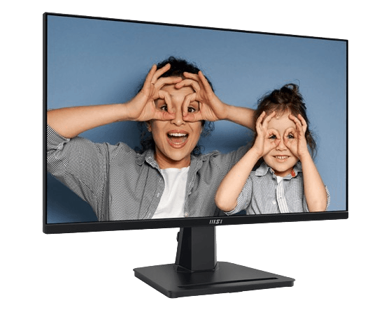 MSI Pro MP251 Professional 25 inch - 100Hz 1Ms FHD IPS Monitor